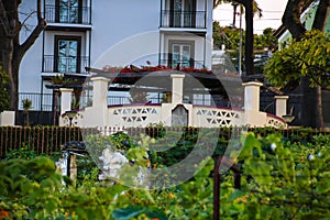 Zona Velha - Old City of Funchal, Madeira photo